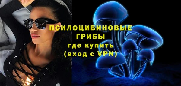 шишки Богданович