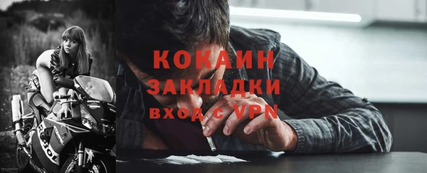 дживик Снежногорск
