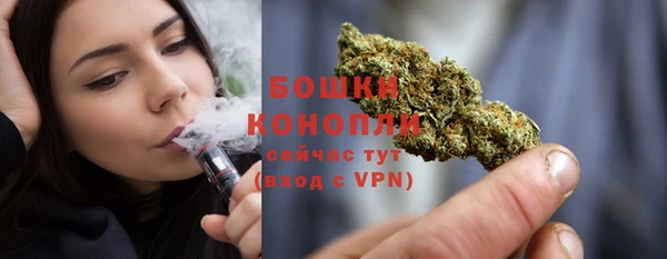 шишки Богданович