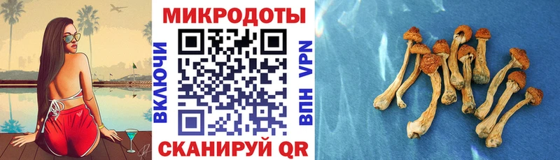 Псилоцибиновые грибы прущие грибы Коряжма