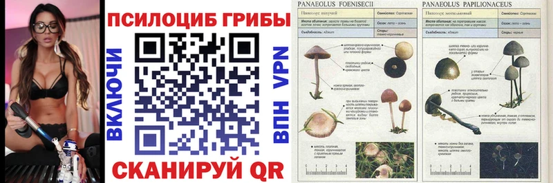 Псилоцибиновые грибы MAGIC MUSHROOMS Коряжма